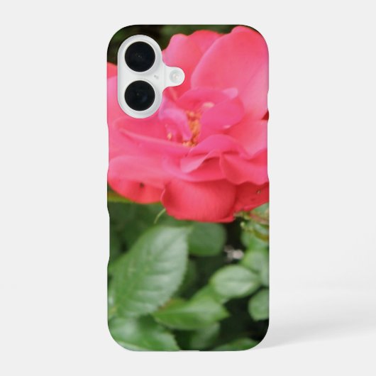 ワイルドローズ iPhone 16ケース (裏面)