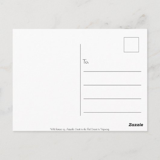 ワイルドワイオミング – はがき (裏面)