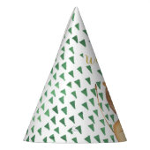 ワイルドワンサファリライオンバースデーパーティーハット パーティーハット (左)