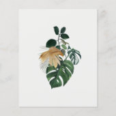 ワイルドワンジャングルウォーターカラーエレファントゼブラバジェット チラシ (裏面)