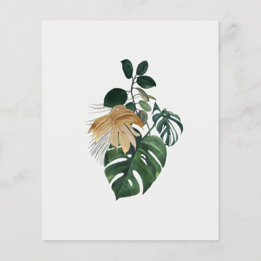 ワイルドワンジャングルウォーターカラーエレファントゼブラバジェット チラシ (裏面)