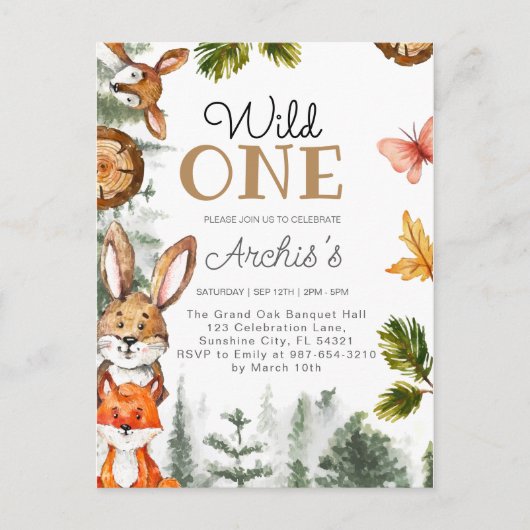 ワイルドワン誕生日男子招待状 ワイルドワン招待 ポストカード (正面)