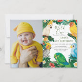 ワイルドワン トロピカル エキゾチック パラッツォ少年 1歳の誕生日 招待状 (正面)