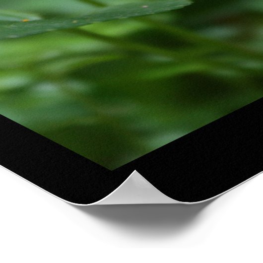 ワイルドヴィオレット花の写真ポスター ポスター (角)