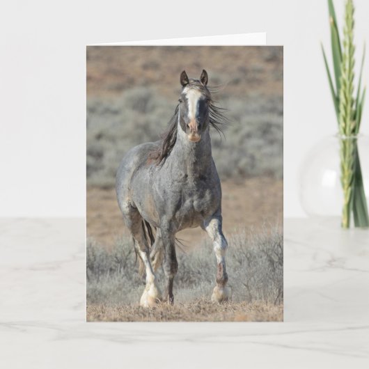 "ワイルド実在ワン"ノートカード カード (正面)