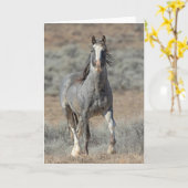 "ワイルド実在ワン"ノートカード カード (黄色い花)