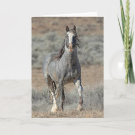 "ワイルド実在ワン"ノートカード カード