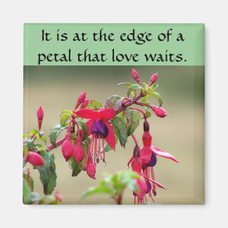 ワイルド明るい赤紫色 マグネット