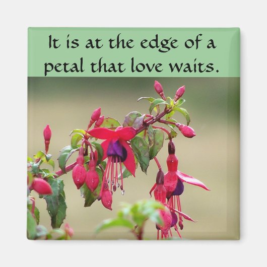 ワイルド明るい赤紫色 マグネット (正面)