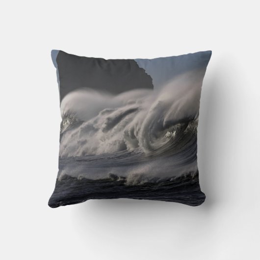 ワイルド海波の嵐 クッション (裏面)