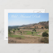 ワイルド アニマル パーク 2 ポストカード (正面/裏面)