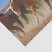 ワイルド·ウエスタン·ホース·バッキング 薄葉紙 (詳細)