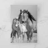 ワイルド·ウマ·ファミリー·リンズ·ワイルド·ウマ·グリーティング·カード カード (内部)