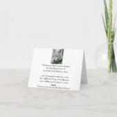 ワイルド・ウルフサンキューカード サンキューカード (裏面)