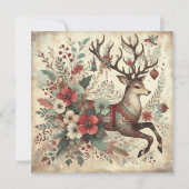 ワイルド・クリスマス・フラワー (正面)