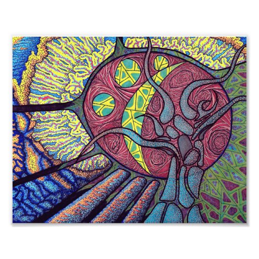 ワイルド フォトプリント            (正面)