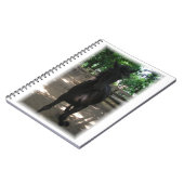 「ワイルド・ミンタカ！」 ノートブック (左側)