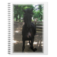 「ワイルド・ミンタカ！」 ノートブック