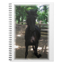 「ワイルド・ミンタカ！」 ノートブック