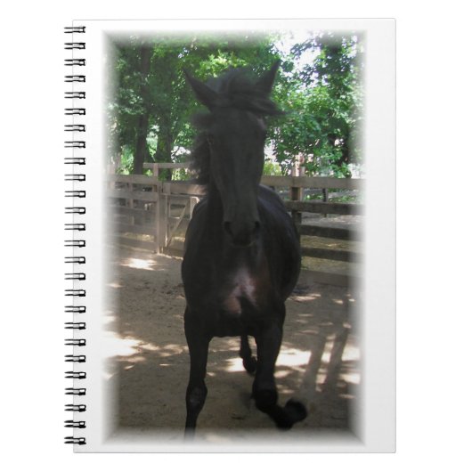 「ワイルド・ミンタカ！」 ノートブック (正面)