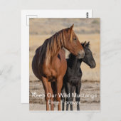 ワイルド·ムスタングス·フォーエバー·ポストカード ポストカード (正面/裏面)