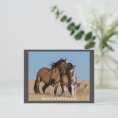 ワイルド·ムスタングス·フォーエバー·ポストカード ポストカード (スタンド正面)