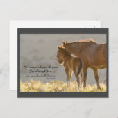 『ワイルド・ムスタング・フォーエバー・ポストカード』 ポストカード (正面/裏面)