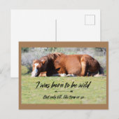 『ワイルド・ムスタング・フォーエバー・ポストカード』 ポストカード (正面/裏面)