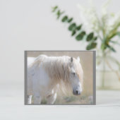 『ワイルド・ムスタング・フォーエバー・ポストカード』 ポストカード (スタンド正面)