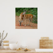 ワイルド・ヤング・バックス ポスター (キッチン)