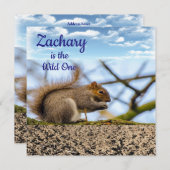 ワイルド・ワン　ファーストバースデーカード　インビテーション　リス 招待状 (正面/裏面)