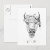 ワイルド・ワン ポストカード (正面/裏面)