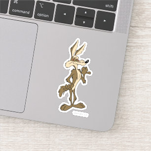 ワイル·エーCOYOTE™の外観誇りを持った シール