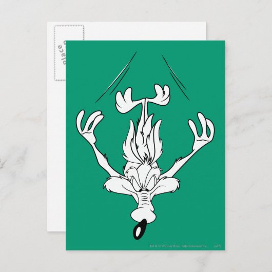 ワイル·エ。コヨーテダイブ爆弾 ポストカード (正面/裏面)