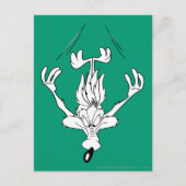 ワイル·エ。コヨーテダイブ爆弾 ポストカード (正面)