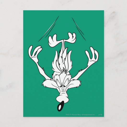 ワイル·エ。コヨーテダイブ爆弾 ポストカード (正面)