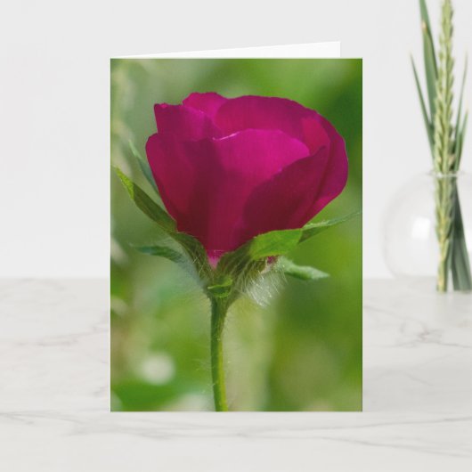 ワインのコップ カード (正面)