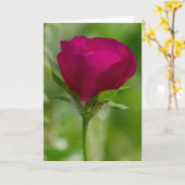 ワインのコップ カード (黄色い花)