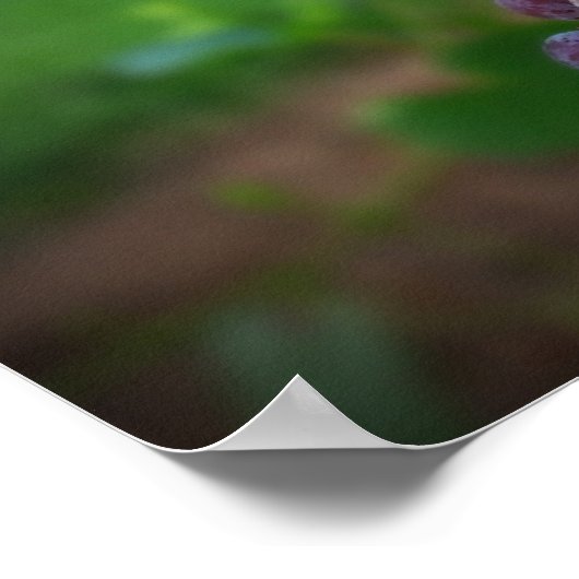 ワインの前に ポスター (角)