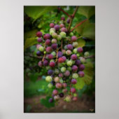 ワインの前に ポスター (正面)