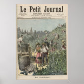 ワインの収穫 ポスター (正面)