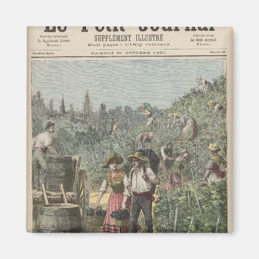 ワインの収穫 マグネット (正面)