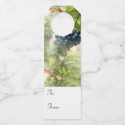ワインの贈り物ラベルから紫色のブドウへボトル ボトルネックタグ (正面)
