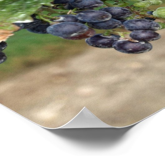 ワインをつる植物 ポスター (角)