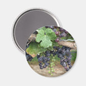 ワインをつる植物 マグネット (正面/裏面)
