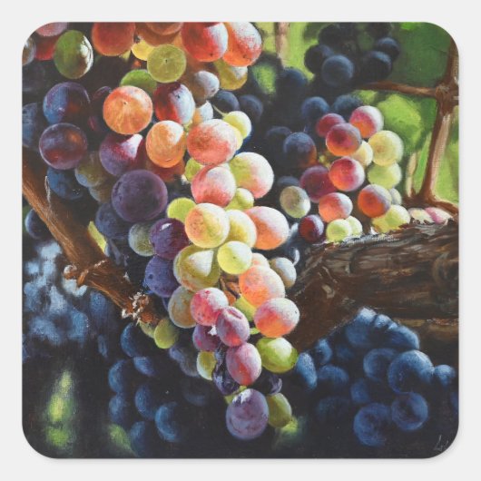 ワインを愛する人たちのために豊富なブドウ&ワイナリー スクエアシール (正面)