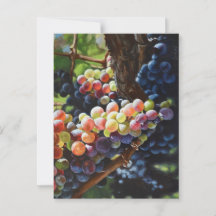 ワインを愛する人たちのために豊富なブドウ&ワイナリー