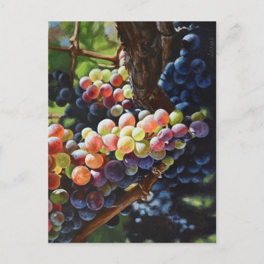 ワインを愛する人たちのために豊富なブドウ&ワイナリー ポストカード (正面)