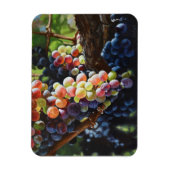 ワインを愛する人たちのために豊富なブドウ&ワイナリー マグネット (縦)