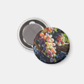 ワインを愛する人たちのために豊富なブドウ&ワイナリー マグネット (正面/裏面)